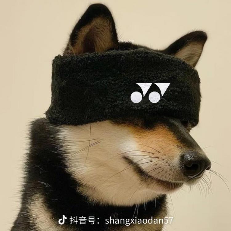 Vanilla 报名时间:2024-01-07 21:17