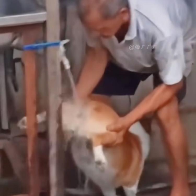 蜻蜓队长 报名时间:2023-06-03 13:17 蜻蜓队长 报名时间:2023-06-03 13:17