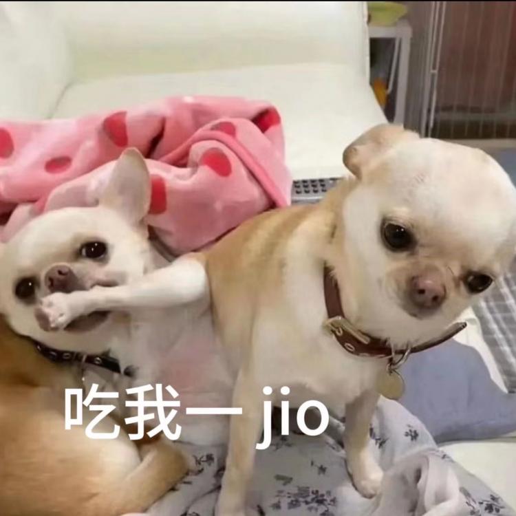 月月 报名时间:2025-09-14 17:59