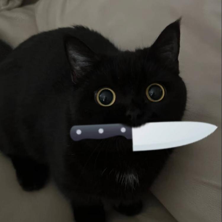 猫猫 报名时间:2025-08-19 11:14