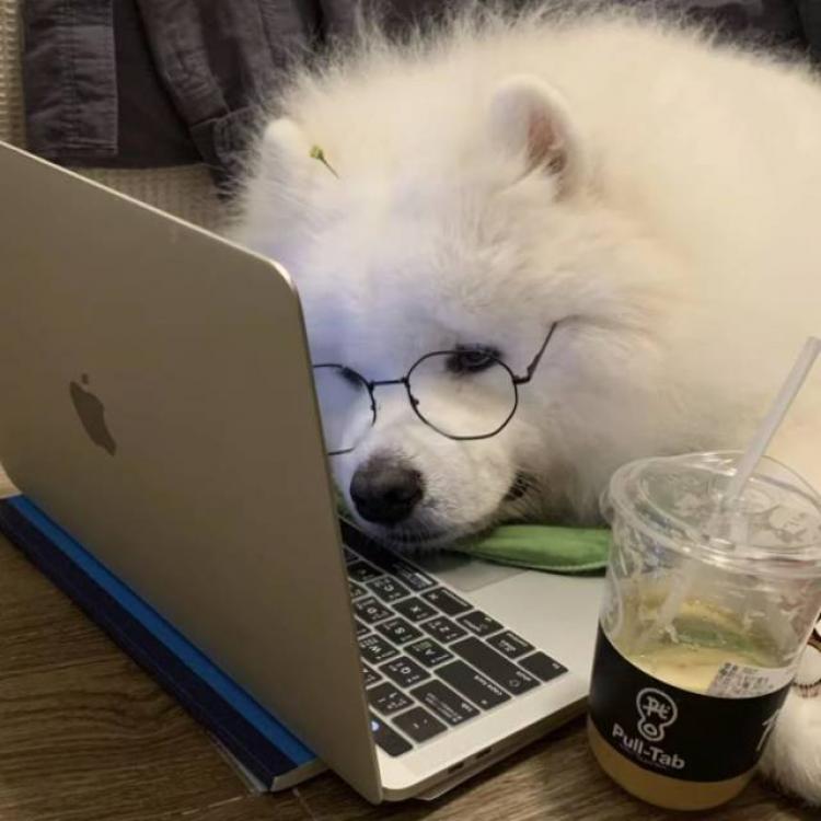 橘 报名时间:2025-08-25 07:11