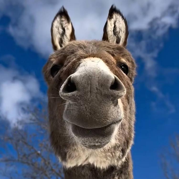 徐菊敏 报名时间:2025-08-22 08:53