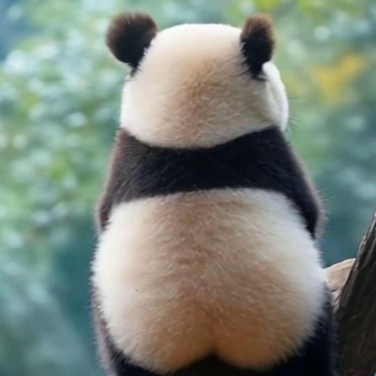 Arin 报名时间:2025-10-29 10:25