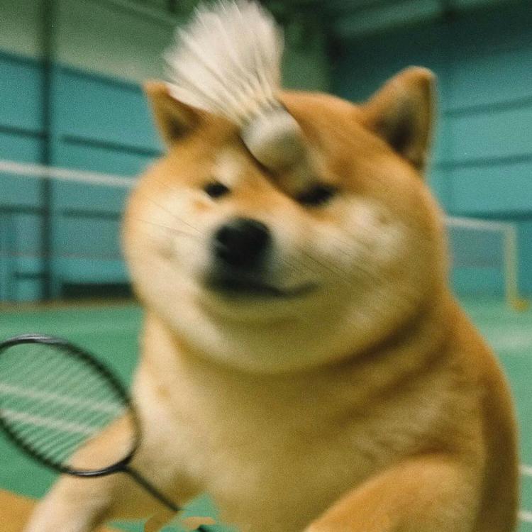 salt🌵 报名时间:2025-10-10 11:20