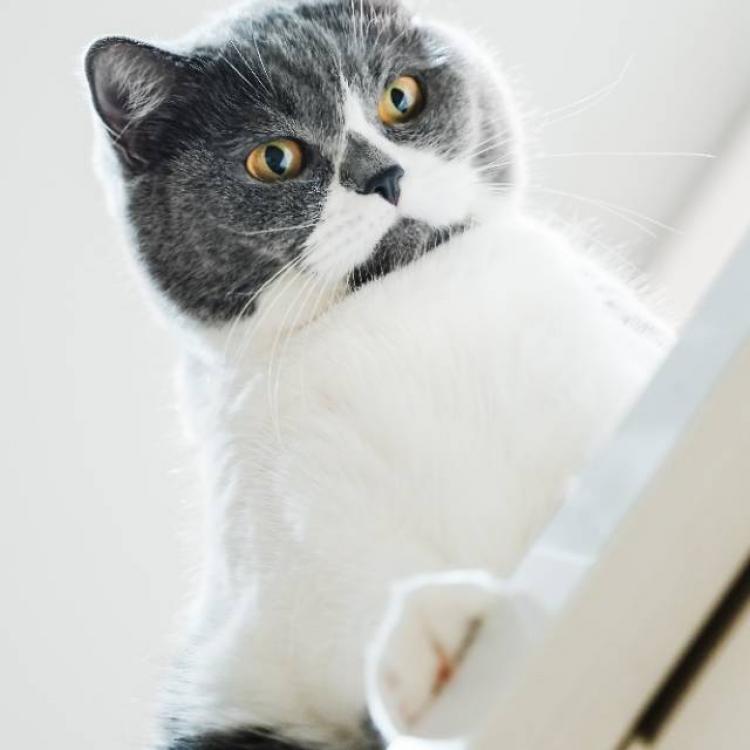 app 报名时间:2025-10-05 12:50