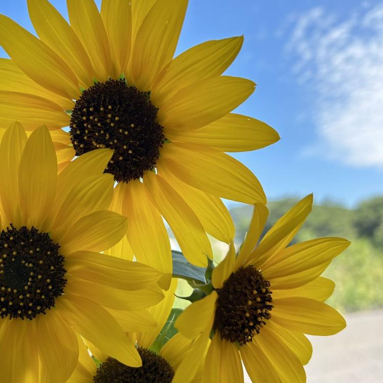 时宜 报名时间:2025-10-29 09:21