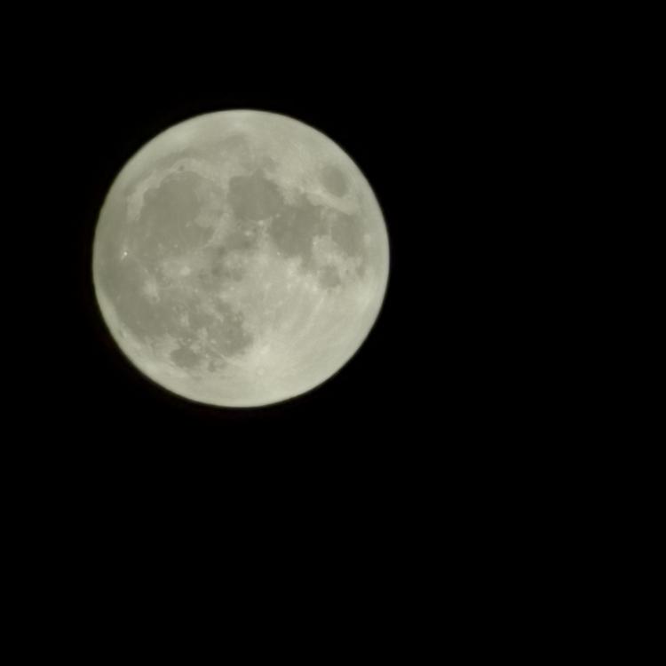 顺顺 报名时间:2021-05-14 13:17