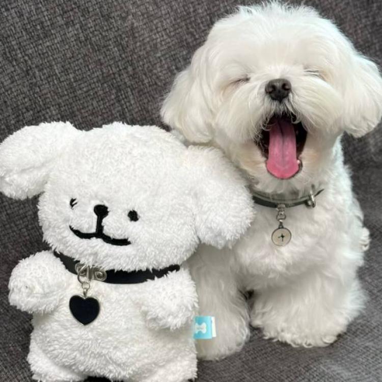 初九 报名时间:2024-07-13 12:04