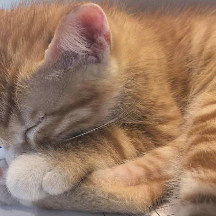 青山 报名时间：2025-11-04 11:30