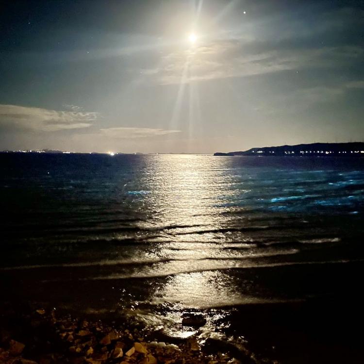 2013™ 报名时间：2025-11-15 11:02