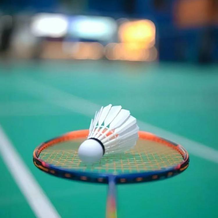 肉丁 报名时间：2025-09-25 16:51