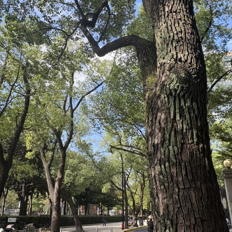 浪迹天涯 报名时间：2025-12-07 22:47