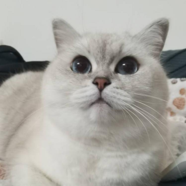 Chen 报名时间：2025-11-24 14:10