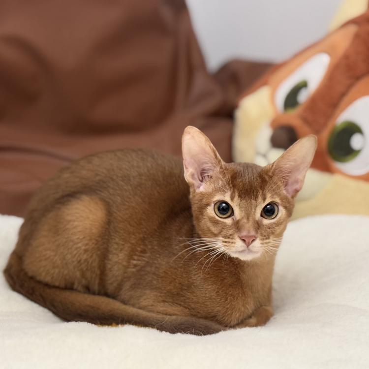 微信用户 报名时间：2025-12-08 20:51