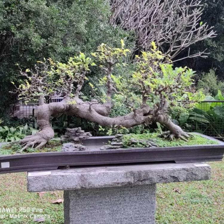 富强 报名时间：2025-04-03 19:28