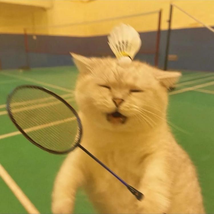 qq 报名时间：2025-08-10 17:57