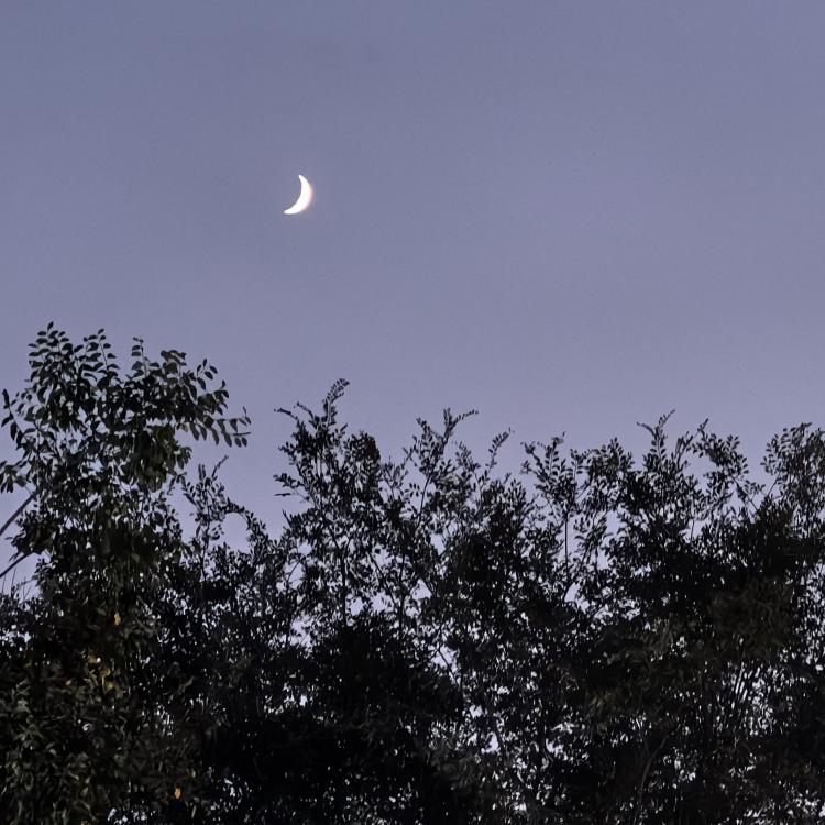 范范会发财 报名时间：2025-12-16 23:30