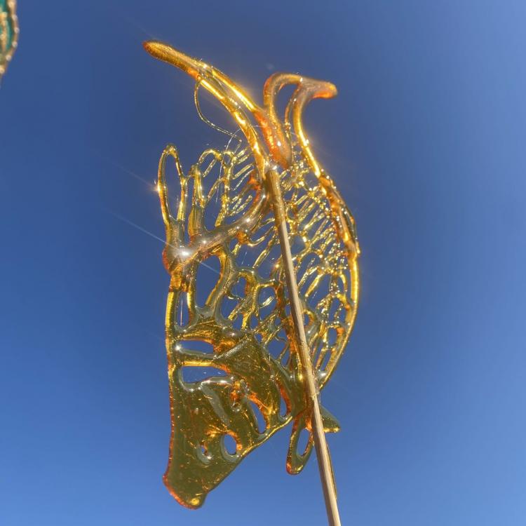 潇 报名时间：2026-02-22 19:09