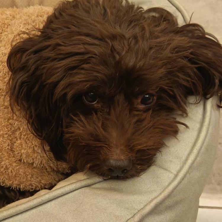 张飞 报名时间：2026-03-04 17:14