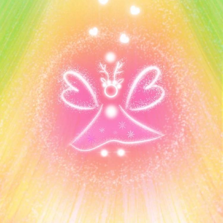 昭昭 报名时间：2026-03-14 16:40