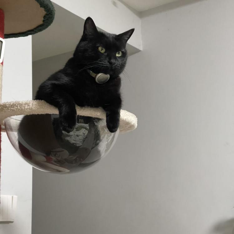 脆皮 报名时间：2018-01-13 13:16