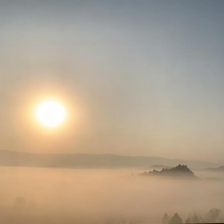 灵机亦动 报名时间：2018-06-11 16:38