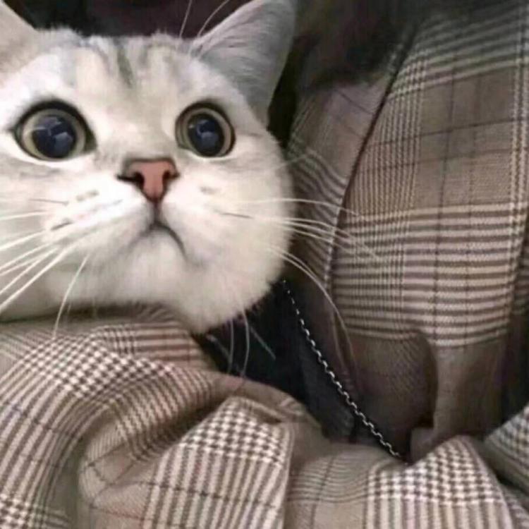 椒末盐 报名时间：2020-06-22 17:51