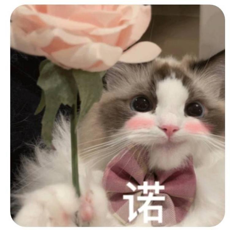 小吴 报名时间：2025-10-10 12:10