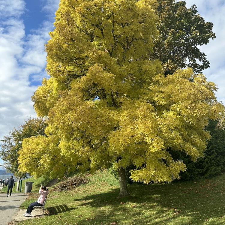 燕珺 报名时间:2024-06-22 16:33