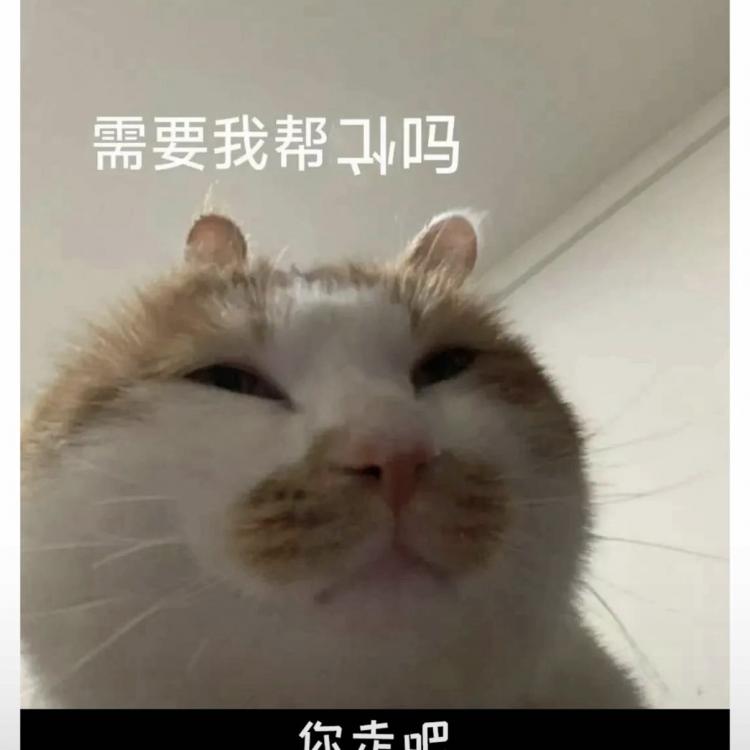 张沁宇-清洁学生 报名时间：2025-08-30 21:15
